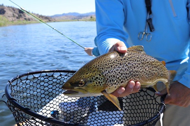 Quand pratiquer la peche a la truite ?