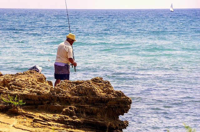 Quale pesce carnivori scegliere?