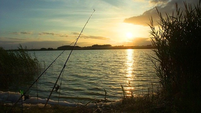 ¿Qué tipo de caña de pescar para el mar?