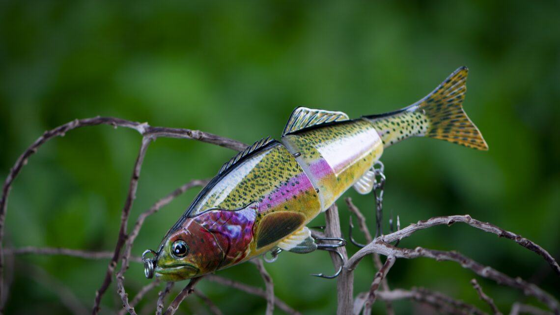 Quel leurre brochet choisir en Etang ?