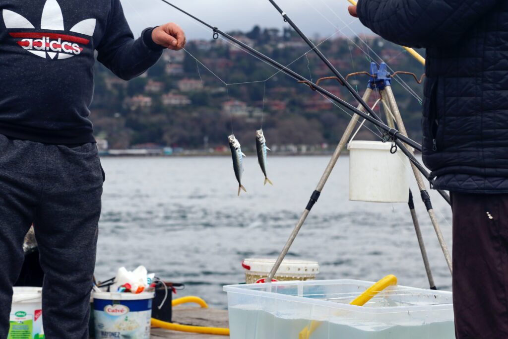 tresse pêche