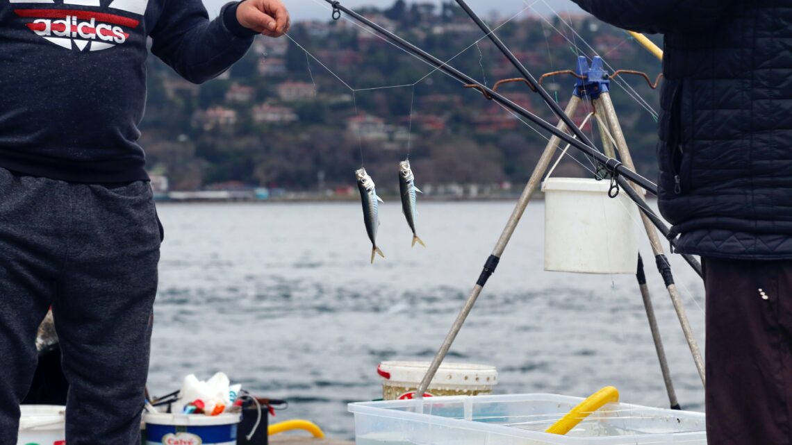 ¿Qué tipo de trenza de pesca para una caña de 2-10 g?